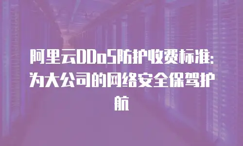 阿里云DDoS防护收费标准：为大公司的网络安全保驾护航