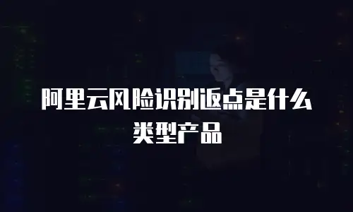 阿里云风险识别返点是什么类型产品
