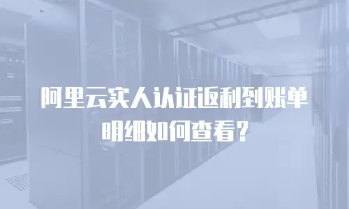 阿里云实人认证返利到账单明细如何查看？