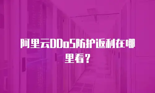 阿里云DDoS防护返利在哪里看？