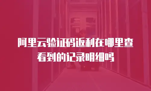 阿里云验证码返利在哪里查看到的记录明细吗
