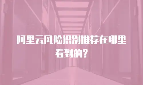 阿里云风险识别推荐在哪里看到的？