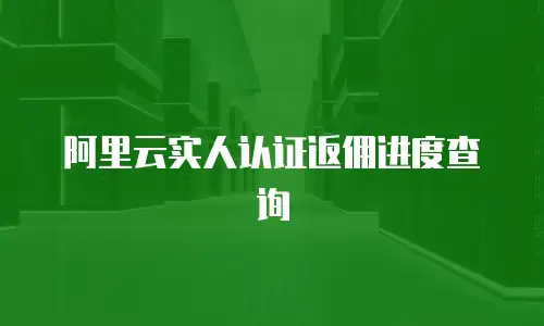 阿里云实人认证返佣进度查询