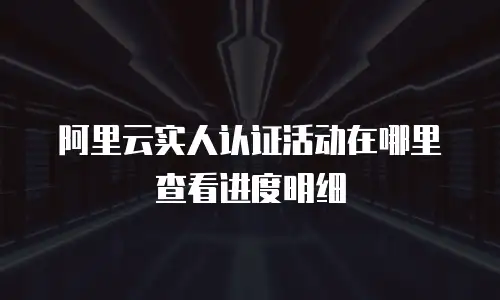 阿里云实人认证活动在哪里查看进度明细