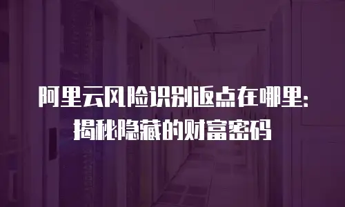 阿里云风险识别返点在哪里：揭秘隐藏的财富密码