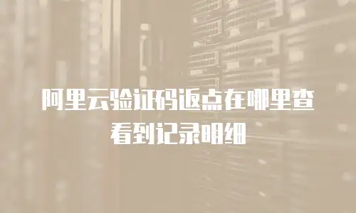 阿里云验证码返点在哪里查看到记录明细