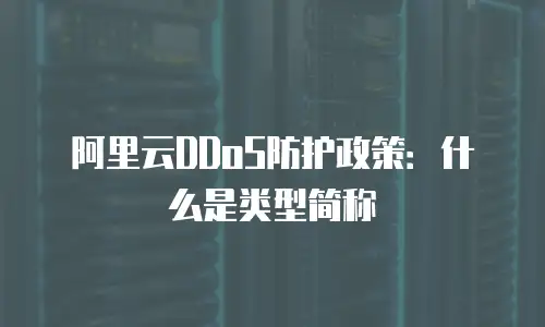 阿里云DDoS防护政策：什么是类型简称