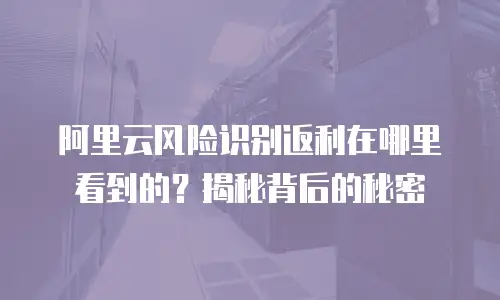 阿里云风险识别返利在哪里看到的？揭秘背后的秘密