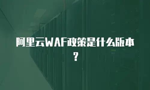 阿里云WAF政策是什么版本？