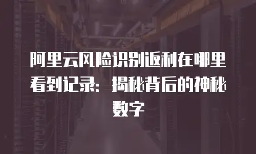 阿里云风险识别返利在哪里看到记录：揭秘背后的神秘数字