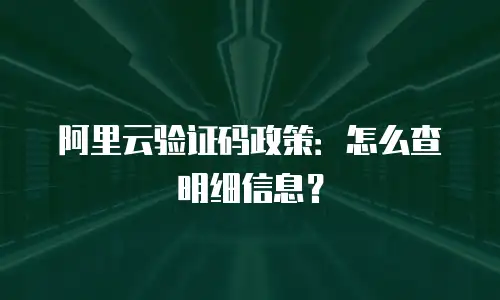 阿里云验证码政策：怎么查明细信息？