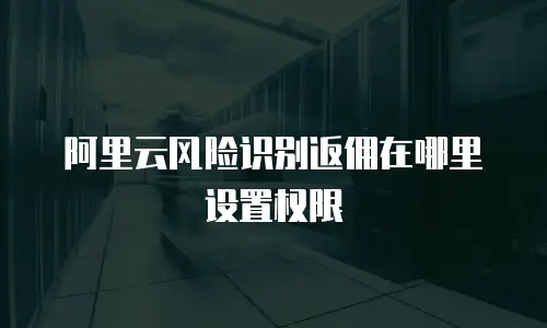 阿里云风险识别返佣在哪里设置权限
