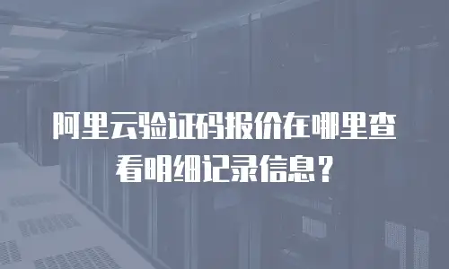 阿里云验证码报价在哪里查看明细记录信息？