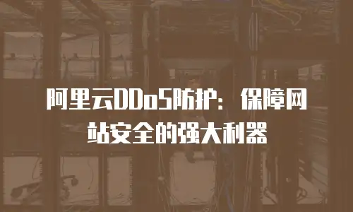 阿里云DDoS防护：保障网站安全的强大利器