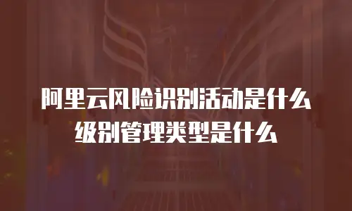 阿里云风险识别活动是什么级别管理类型是什么