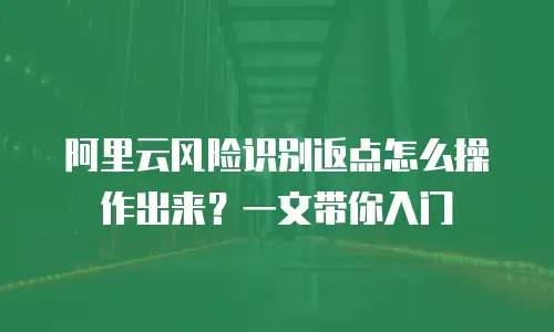 阿里云风险识别返点怎么操作出来？一文带你入门