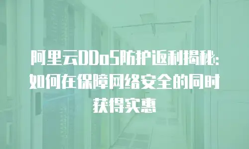阿里云DDoS防护返利揭秘：如何在保障网络安全的同时获得实惠