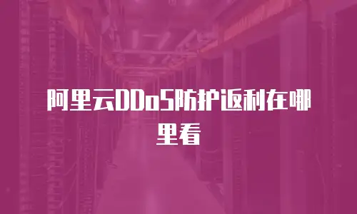 阿里云DDoS防护返利在哪里看