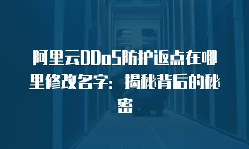 阿里云DDoS防护返点在哪里修改名字：揭秘背后的秘密