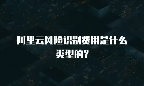 阿里云风险识别费用是什么类型的？