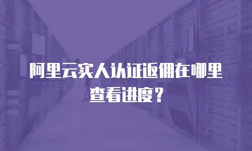 阿里云实人认证返佣在哪里查看进度？