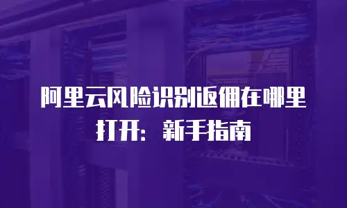 阿里云风险识别返佣在哪里打开：新手指南