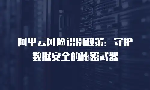 阿里云风险识别政策：守护数据安全的秘密武器