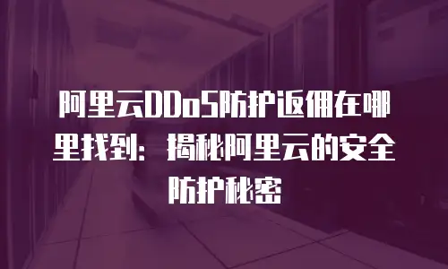 阿里云DDoS防护返佣在哪里找到：揭秘阿里云的安全防护秘密