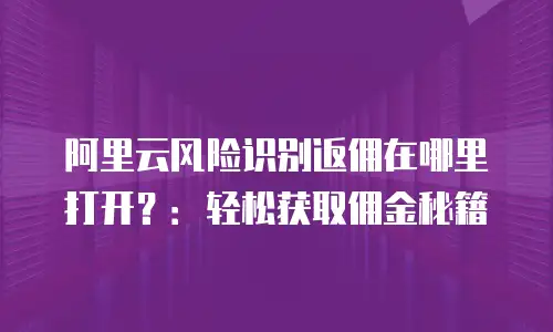 阿里云风险识别返佣在哪里打开？：轻松获取佣金秘籍