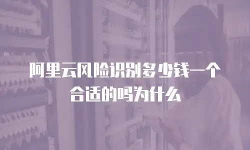 阿里云风险识别多少钱一个合适的吗为什么