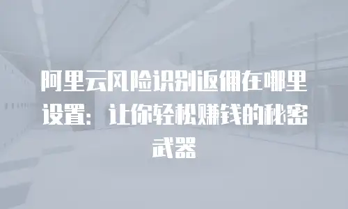 阿里云风险识别返佣在哪里设置：让你轻松赚钱的秘密武器