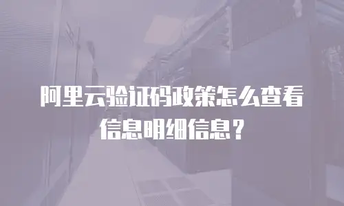 阿里云验证码政策怎么查看信息明细信息？