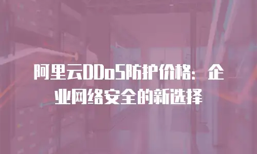阿里云DDoS防护价格：企业网络安全的新选择