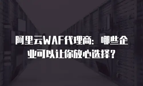 阿里云WAF代理商：哪些企业可以让你放心选择？