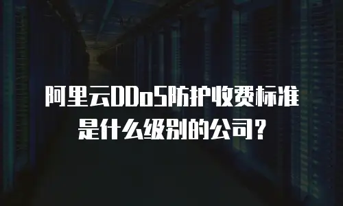 阿里云DDoS防护收费标准是什么级别的公司？