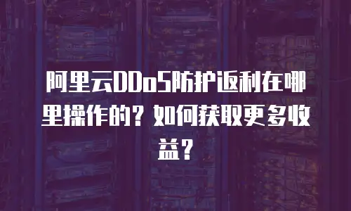 阿里云DDoS防护返利在哪里操作的？如何获取更多收益？