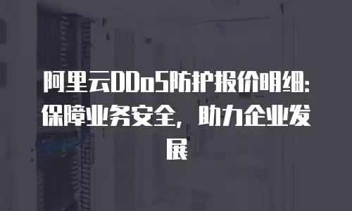 阿里云DDoS防护报价明细：保障业务安全，助力企业发展