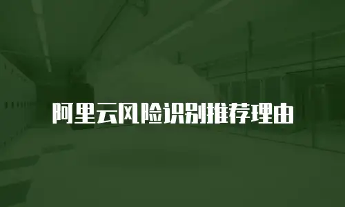 阿里云风险识别推荐理由