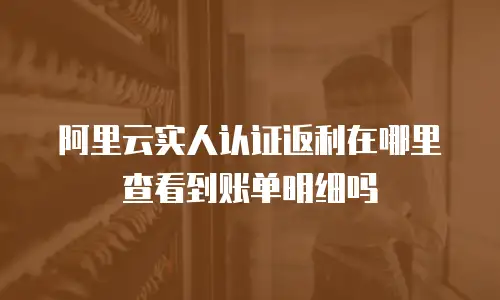 阿里云实人认证返利在哪里查看到账单明细吗