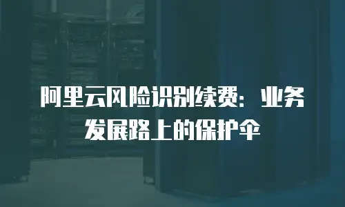 阿里云风险识别续费：业务发展路上的保护伞