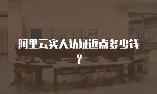 阿里云实人认证返点多少钱？