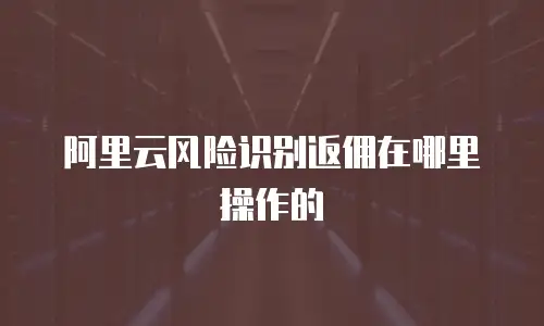 阿里云风险识别返佣在哪里操作的