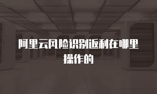 阿里云风险识别返利在哪里操作的