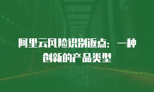 阿里云风险识别返点：一种创新的产品类型