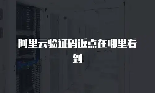 阿里云验证码返点在哪里看到