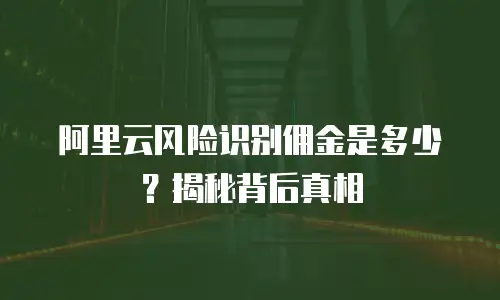 阿里云风险识别佣金是多少？揭秘背后真相