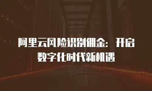 阿里云风险识别佣金：开启数字化时代新机遇