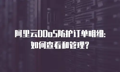 阿里云DDoS防护订单明细：如何查看和管理？