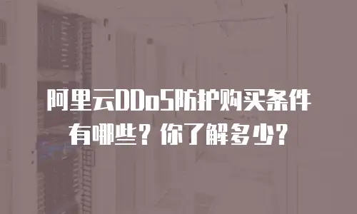 阿里云DDoS防护购买条件有哪些？你了解多少？