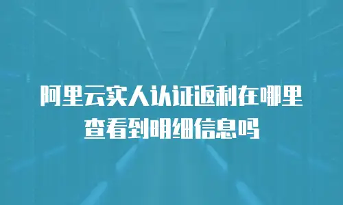 阿里云实人认证返利在哪里查看到明细信息吗